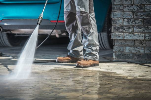 Best Vinyl Siding Pressure Washing in Colorado City, AZ