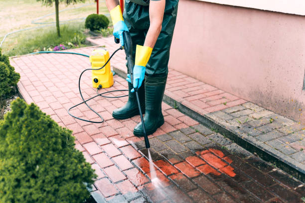 Best Driveway Cleaning and Restoration in Colorado City, AZ