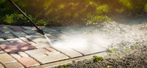 Best Fence Cleaning and Maintenance in Colorado City, AZ